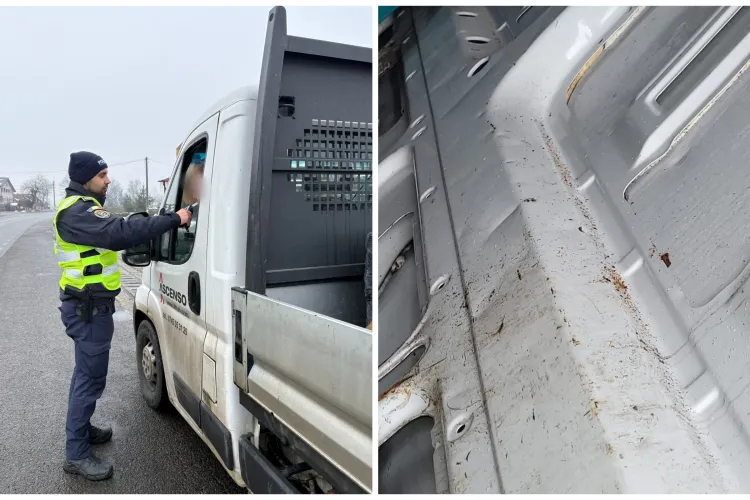 Pericol pentru consumatori în Cluj! Poliția a prins un transport de alimente fără igienă 