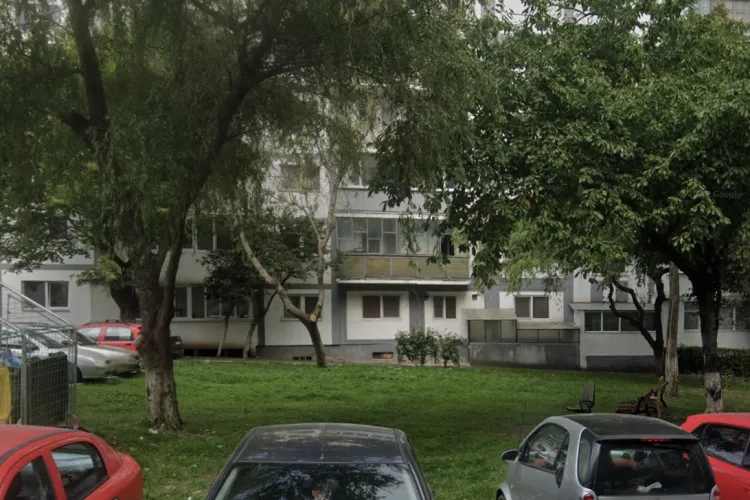 Acces cu câinii într-un parc din Cluj! Se cere modificarea regulamentului unui parc unde animalele nu au voie: „Eventual chiar si un loc special amenajat”