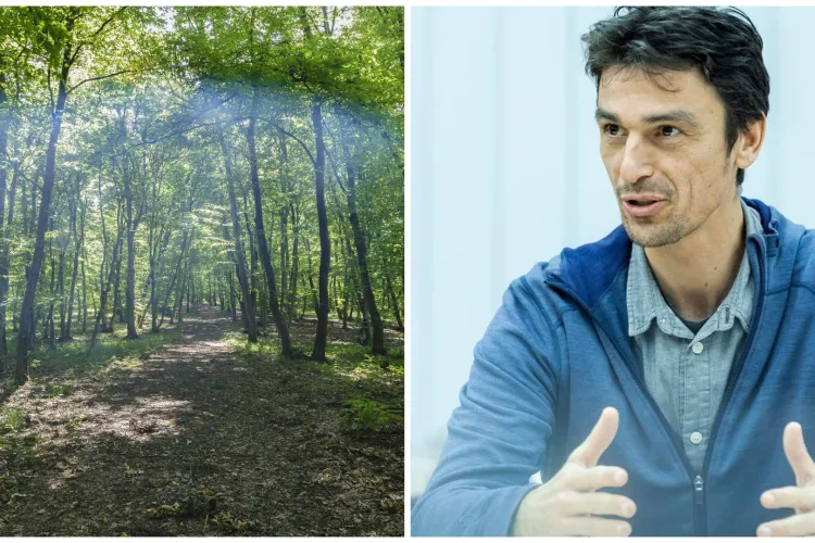 Activistul clujean Adrian Dohotaru cere explicații Primăriei: „Angajamentele se fac, dar nu se respectă”. Pădurea Hoia-Baciu, în pericol?