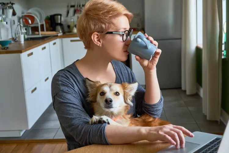 Noua fiță la nivel global. Pawternity leave, sau concediul de odihnă pentru a avea grijă de animăluțul de companie. În ce condiții se poate lua