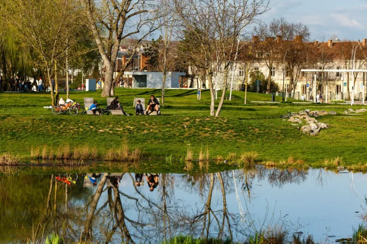 Vremea își schimbă planurile: Temperaturi peste normal, ploi și ninsori dese anunță patru săptămâni cu vreme complet atipică