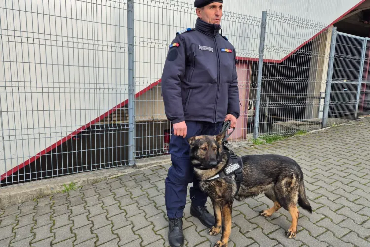 Stadionul din Gruia, sub supraveghere totală! Vor fi filtre și străzi închise pentru meciul CFR – Metaloglobus. Ce reguli trebuie să respecte suporterii