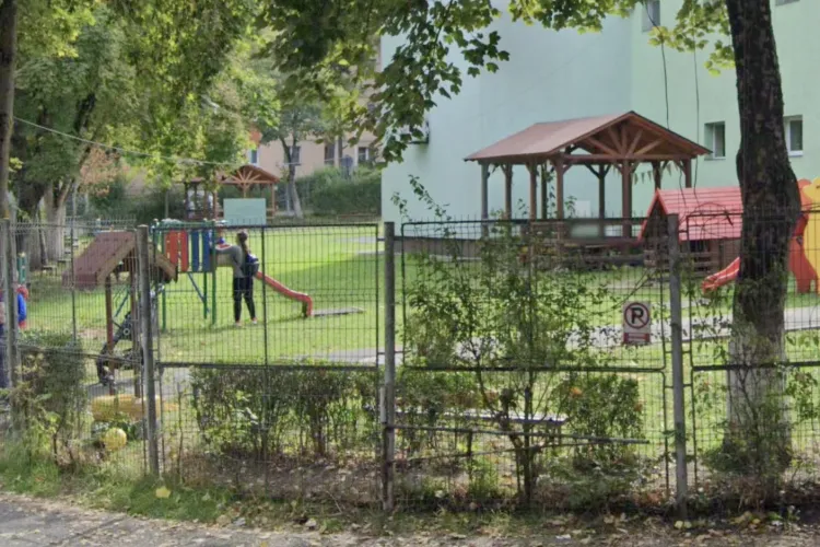 Un bloc din Cluj este sub asediul șobolanilor! Situația care a apărut într-un cartier din Cluj amenință sănătatea copiilor care se joacă în parc