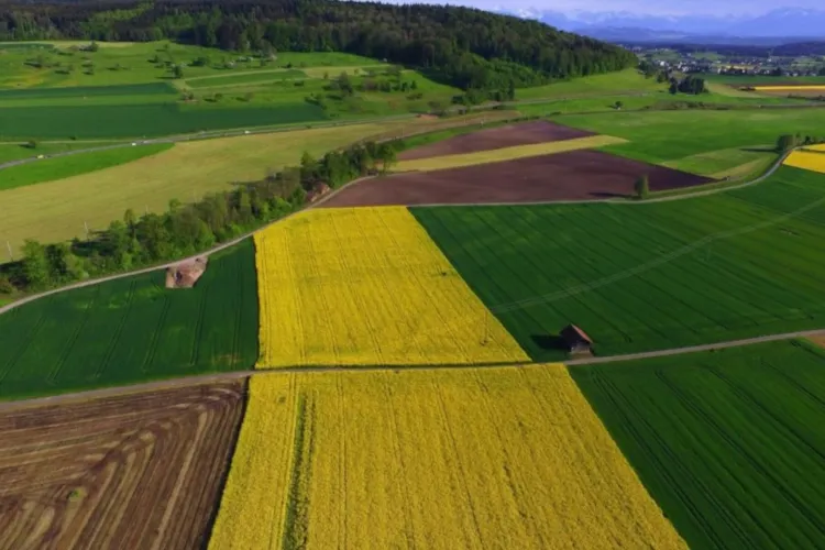 Cât costă, de fapt, pământul în România: Hectarul este aproape la jumătate față de media UE, dar prețurile cresc mult și în 2026