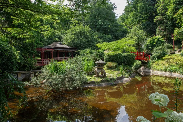 Grădina Botanică din Cluj, magnet pentru turiști și clujeni: Peste 200.000 de vizitatori în 2025. Ce evenimente spectaculoase au atras publicul