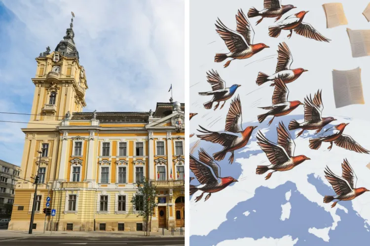 De ce vin experții europeni la Cluj-Napoca? Orașul găzduiește un eveniment-cheie despre locuri de muncă și integrarea migranților UE