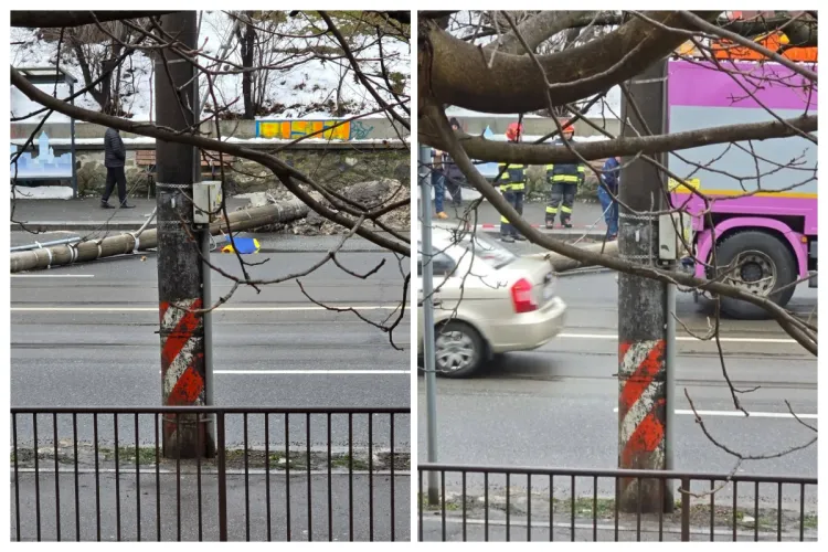 Atenție, șoferi și pietoni: Stâlp căzut în cartierul Mănăștur din Cluj-Napoca! Echipajele sunt la fața locului. Evitați zona! FOTO