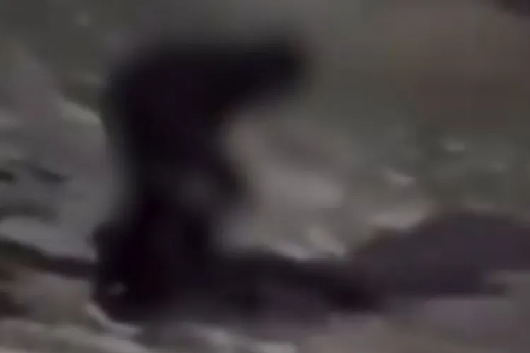 Un băiat de doar 14 ani a fost bătut cu bestialitate de un alt adolescent, de față cu alți colegi: Bătaia ar fi început de la o fată