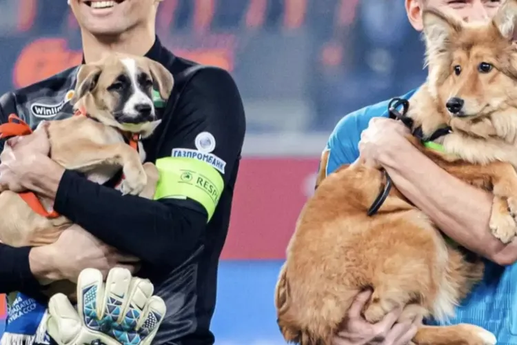 Gest minunat la Cluj-Napoca! „Adoptă un Prieten pe viață” a fost aprobat, sportivii vor intra la meciuri cu animăluțe pentru adoptat în brațe