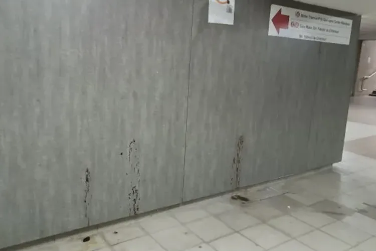 Trecerea prin pasajul Gării Cluj e un adevărat test pentru cei cu stomacul sensibil! Miros insuportabil de urină și fecale: „Mai rău ca o toaletă publică”