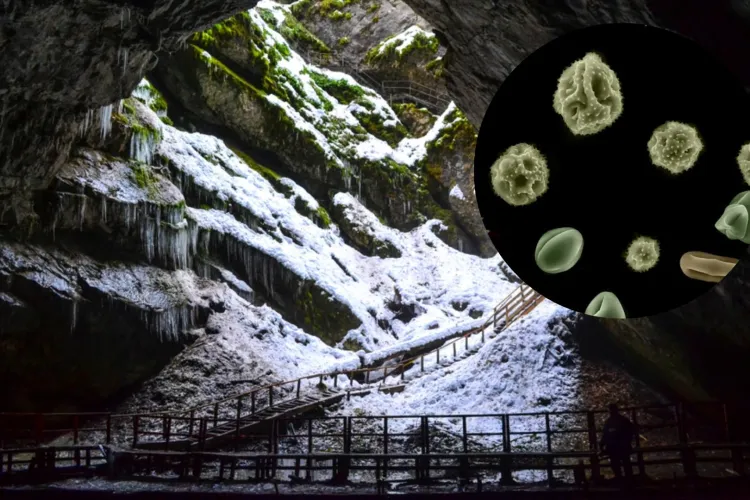 Bacterie veche de 5.000 de ani, descoperită într-o peșteră de gheață din Apuseni, rezistentă la 10 antibiotice moderne! Ce au găsit cercetătorii