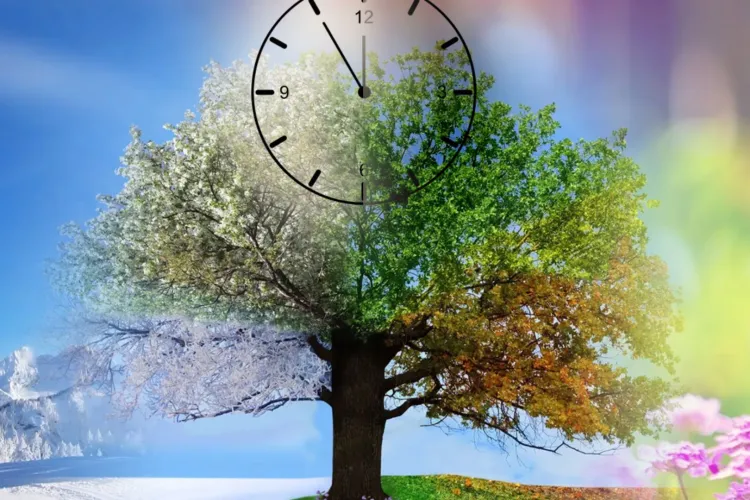 Ce fenomen astronomic marchează oficial sosirea sezonului cald: Tot ce trebuie să știi despre echinocțiul de primăvară