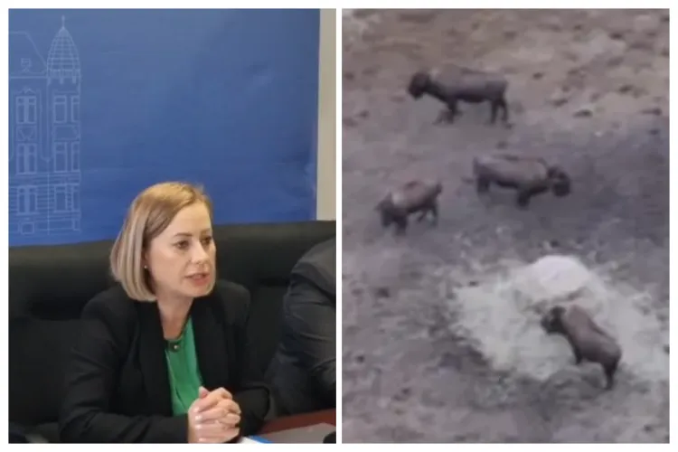 VIDEO. Reprezentanții „Fermei Groazei”, o încrengătură de „grei” ai Clujului, s-au „evaporat”. Autoritățile ridică din umeri: „Nu au dat declarații”