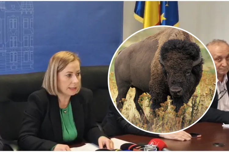 VIDEO. Informații șocante prezentate de prefectul Clujului. La „ferma groazei” au murit în chinuri groaznice peste 200 de animale. Ce se va întâmpla cu ele