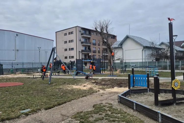 Primăria Apahida intervine de urgență: Parcul Central închis și arbori bătrâni eliminați pentru a evita incidente. Vezi detaliile lucrărilor!