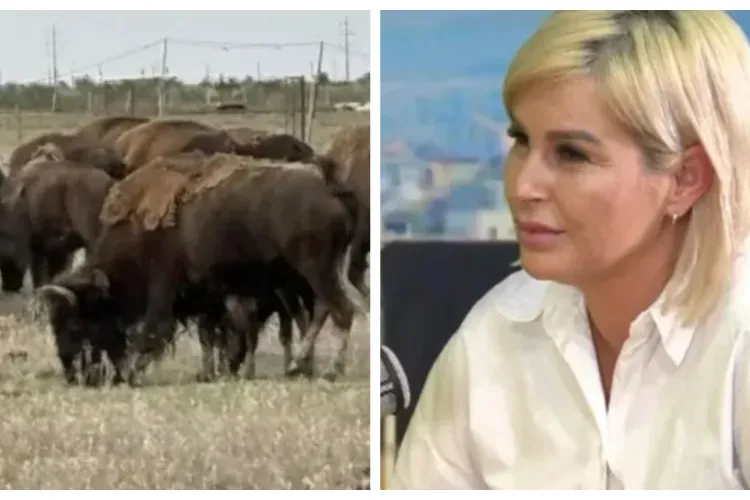 Clujeanca Rocsana Contraș intervine în scandalul privind ferma groazei din Cluj: „Noi vrem să ajutăm. Suntem pregătiți să punem umărul”