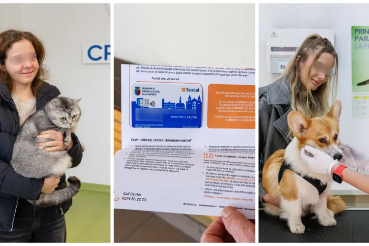 Un nou val de proiecte pentru Cluj-Napoca: : Locuințe pentru Pata Rât, sterilizări gratuite, adopții promovate pe stadion și sprijin financiar în 2026