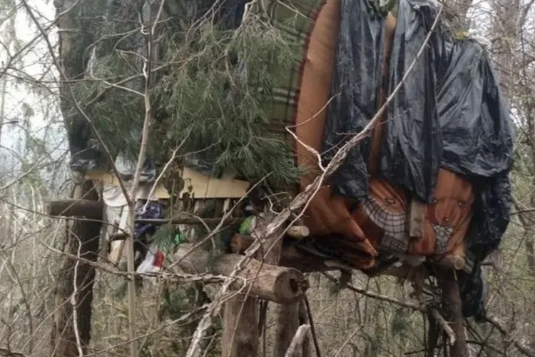 O locuință improvizată a apărut într-o zonă din Cluj și a fost umplută de gunoaie! Locuitorii cer măsuri urgente: „S-au instalat ilegal cel mai probabil”