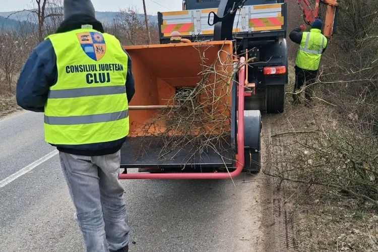 Siguranță mai mare pentru șoferi în județul Cluj: Consiliul Județean a început toaletarea arborilor de pe marginea drumurilor