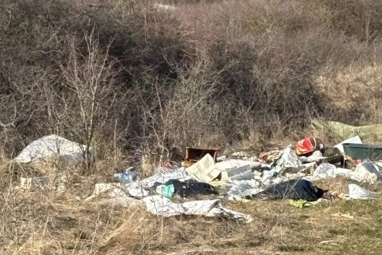 Imagini revoltătoare din Baciu: Grămezi de gunoi abandonate, iar un clujean explodează de furie. „Să vă fie rușine, nesimțiți ce sunteți!” - VIDEO