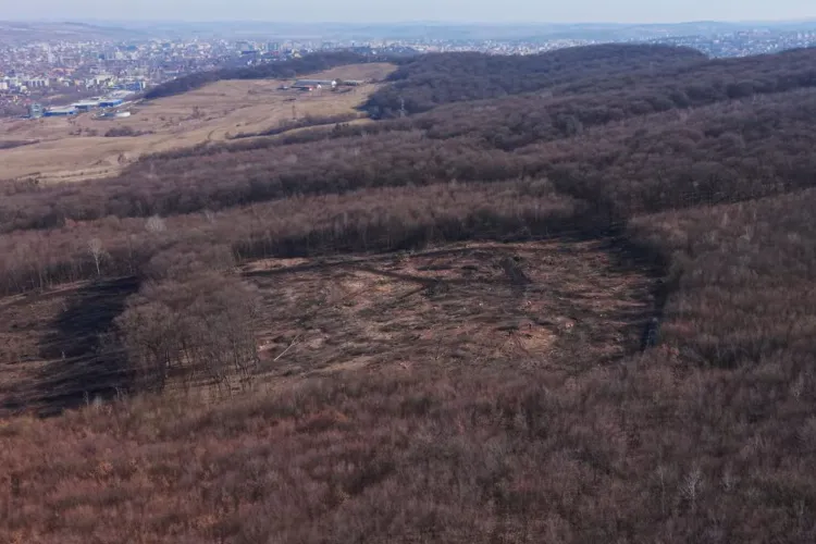 VIDEO. Alerta în Cluj, dupa ce au aparut imagini cu hectare de pădure rase în Hoia. Garda Forestieră încearcă să explice situația: „Nu e nimic ilegal!”