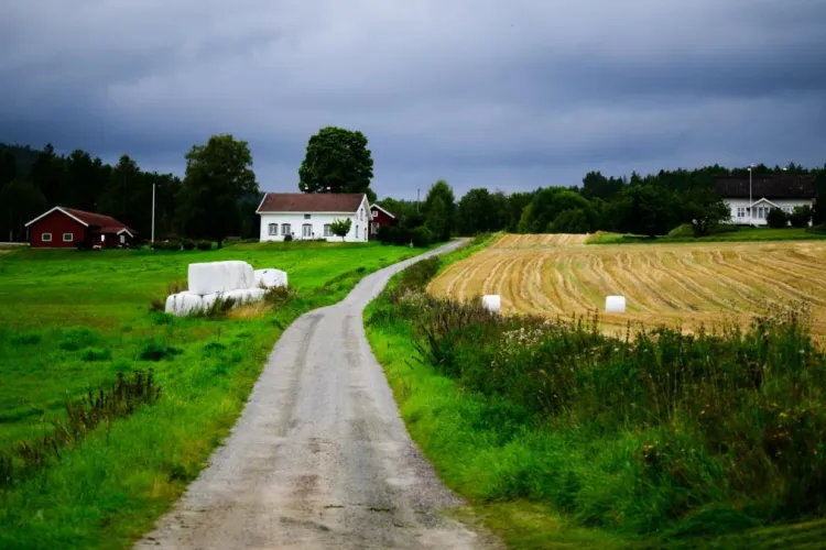 Case la 13.000 de euro la nici 400 de kilometri de Cluj-Napoca. Guvernul a decis să acorde subvenții și să încurajeze mutatul la țară, în natură