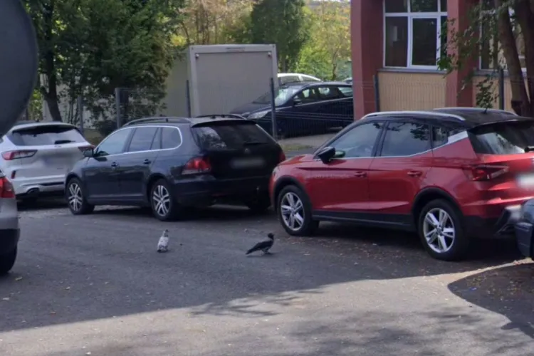 Situație periculoasă la intrarea din spate a unui liceu din Cluj-Napoca: Mașini parcate ilegal blochează vizibilitatea și pun în pericol copiii