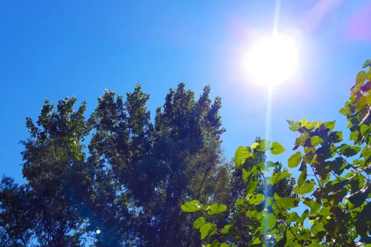 Început de primăvară în forță la Cluj: După nopți reci, urmează o răsturnare plăcută de situație. Cum începe weekendul la Cluj