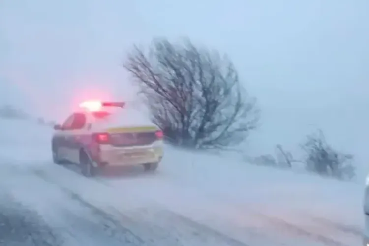 Alertă meteo în Cluj! Cod Galben de ninsoare și viscol! Rafalele pot ajunge la 85 km/h. Meteorologii avertizează 
