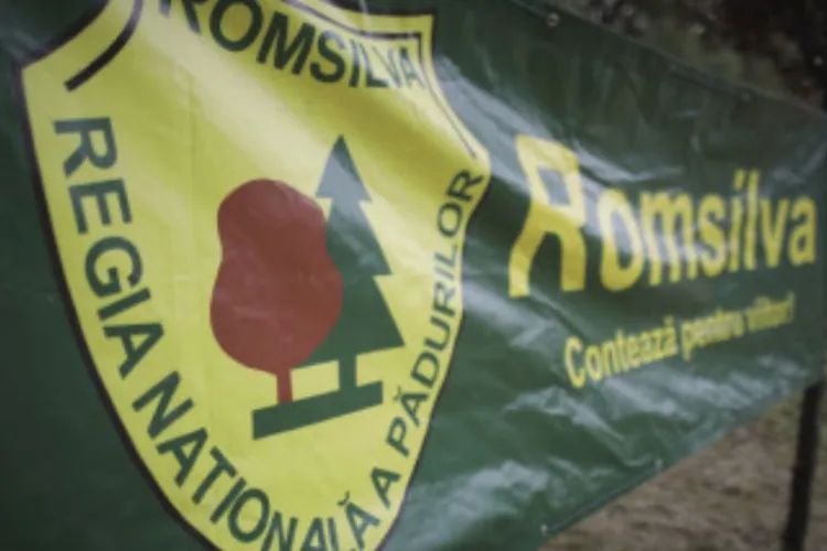 VIDEO. Reformă majoră la Romsilva: Guvernul schimbă din temelii sistemul silvic din România. A fost aprobată legea reorganizării instituției