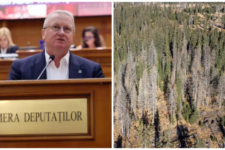Deputatul clujean Remus Lăpușan, mesaj ferm: „Protejarea pădurilor din ariile naturale necesită intervenții rapide și  soluții responsabile”