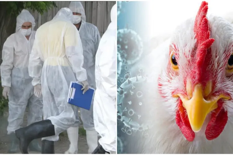 Amenințări voalate la Centura Metropolitană a Clujului! Dimex către Primărie: „Dacă denunțați unilateral contractul, nu-l mai puteti da nimănui timp 3 ani”