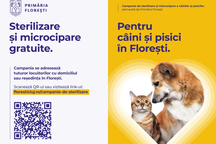 Primăria Florești lansează campania de sterilizare și microcipare gratuite pentru câini și pisici, pe tot parcursul anului 2026