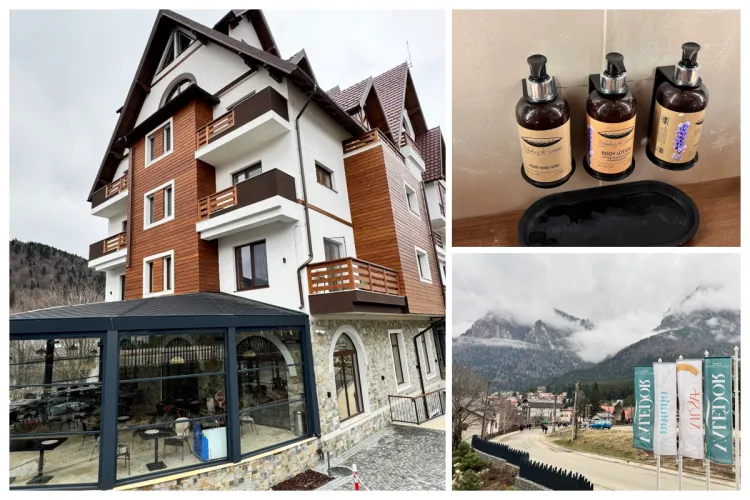 Experiență de top în Bușteni: Hotel Valedor și avantajele dispenserelor Botanika în băile de lux