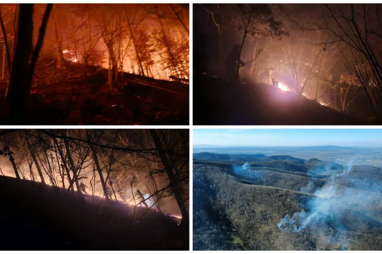 Imagini apocaliptice din două județe învecinate Clujului: Hectare întregi de vegetație au luat foc, iar pompierii s-au luptat eroic cu focul