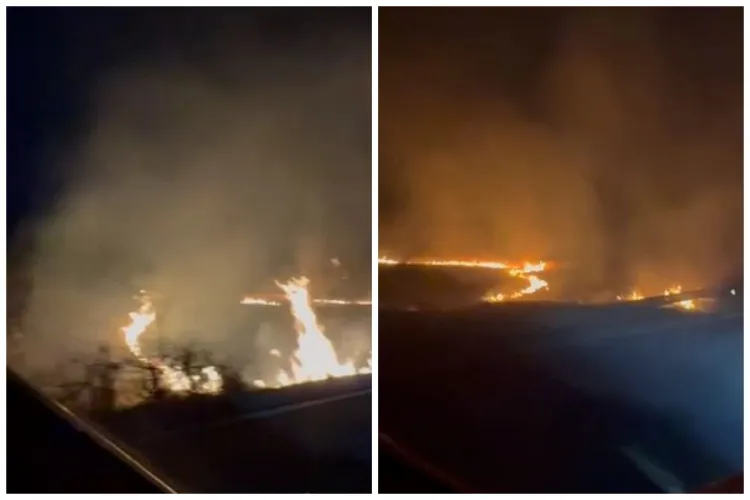 VIDEO. Incendiu de proporții în seara asta la Cluj: Flăcările au cuprins tot și au ajuns până pe marginea drumului