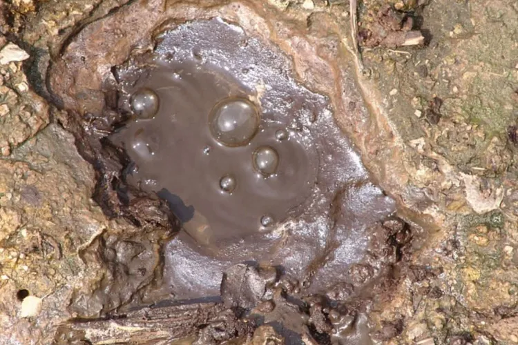 Zona din Transilvania unde pâmântul pare că „respiră”. Cercetători italieni și clujeni studiază de mai multă vreme acest fenomen spectaculos