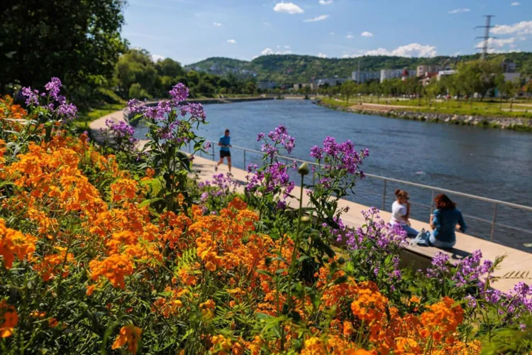 Primăvara își face simțită prezența la Cluj-Napoca: Temperaturi de până la 15 grade și vreme perfectă pentru plimbări în aer liber