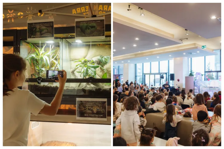 Weekend cu de toate la Iulius Mall Cluj: Expoziții spectaculoase, târg de nunți și spectacol de teatru pentru copii, te așteptă în aceste zile