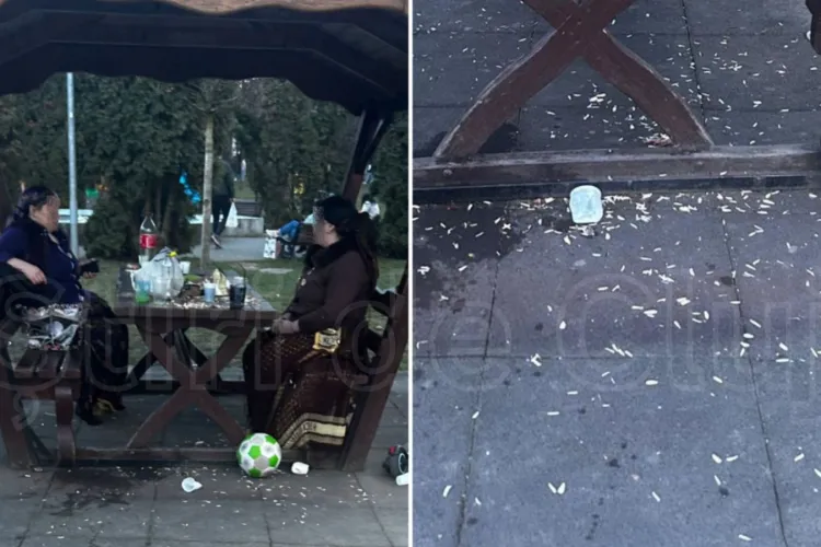 Cai pe carosabil pe o stradă din Cluj-Napoca! Locuitorii cer intervenția urgentă a autorităților: „Pun în pericol cetățenii”