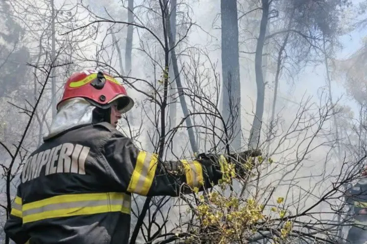 Pericol real în județul Cluj odată cu venirea primăverii: Primele incendii de vegetație din 2026 au fost deja semnalate