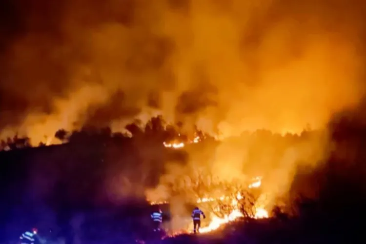 Pompierii din Cluj trag un semnal de alarmă: Numărul incendiilor de vegetație crește, iar intervențiile devin tot mai dificile. Amenzile sunt mari