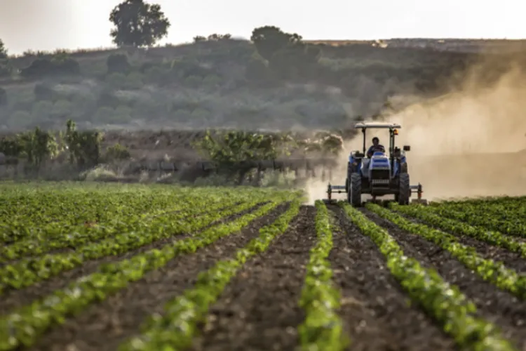 Anunț important pentru agricultorii din Apahida, Cluj: Întâlnire la primărie despre cum pot fi obținute subvențiile agricole în 2026