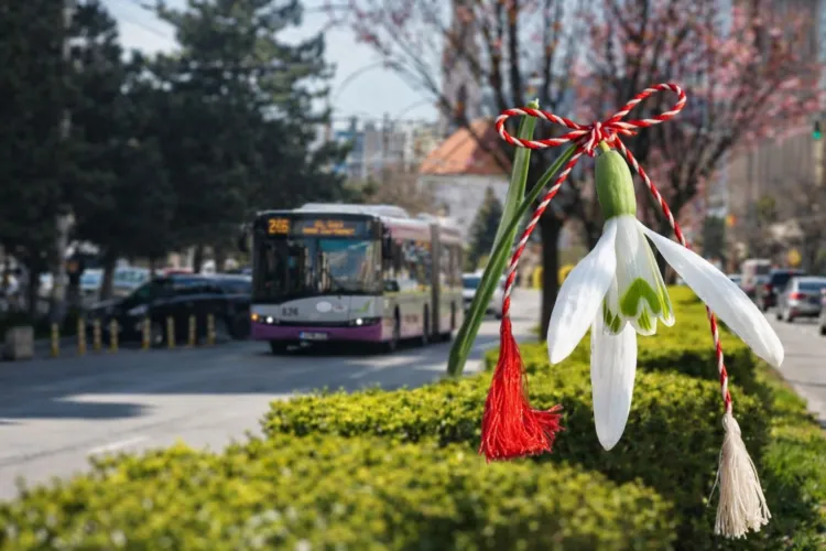 De Ziua Femeii, CTP Cluj le surprinde pe clujence: Transport public gratuit pentru toate doamnele și domnișoarele pe 8 Martie