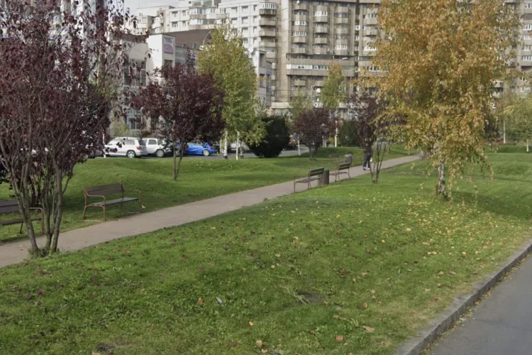 Ce se întâmplă în acest parc din Cluj-Napoca: Câini vagabonzi, trotinete care merg cu viteză mare și persoane „dubioase”: „Nu ne mai simțim în siguranță”