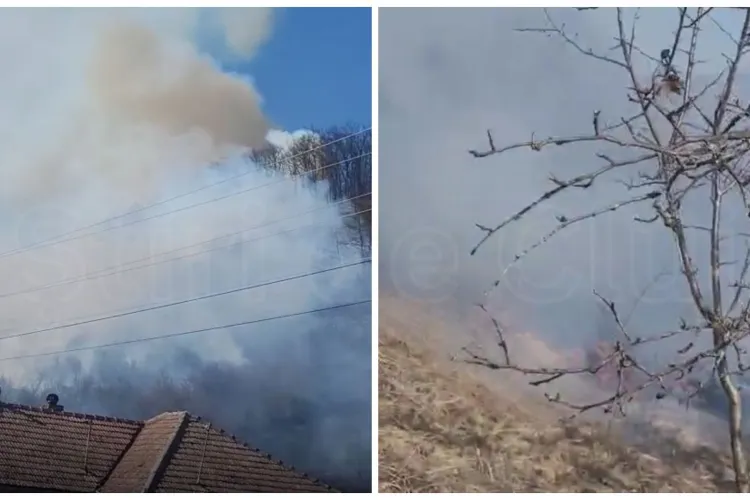 VIDEO. Inconștiență totală: A dat foc să își ardă gunoiu și a ajuns să dea foc unei păduri din Cluj. „De groază!”