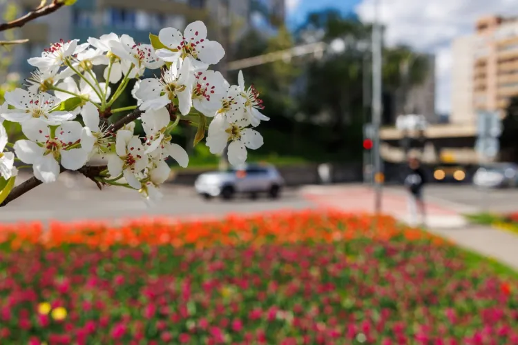 Cum va fi vremea de Paște 2026: Meteorologii au actualizat prognoza și vin cu vești surprinzătoare pentru români