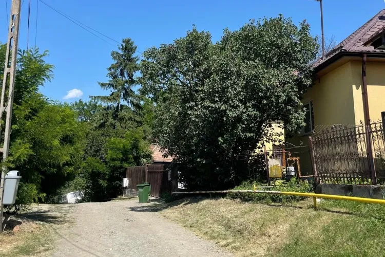 Strada dintr-o comună din Cluj va fi complet modernizată: Bandă pentru autobuze, trotuare și canalizare nouă, cu aproape 100 de milioane de lei