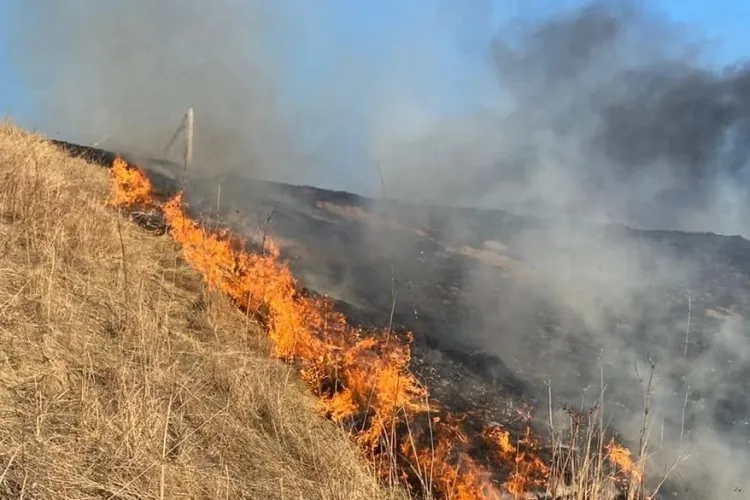 Ce riscă clujenii care încep să își ardă vegetația pe propriul teren : Dacă nu ai permis riști să plătești până la 2.500 de lei amendă!