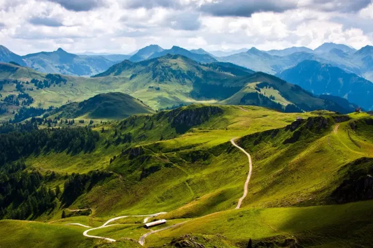 Proiectul care i-a apropiat mai mult ca niciodată pe studenții clujeni de cei din Ucraina. Tinerii au studiat rădăcinile comune ale popoarelor din Carpați